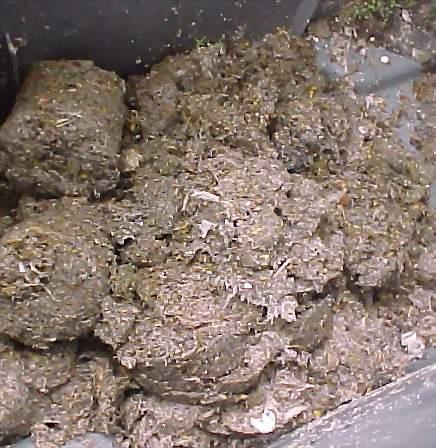 Trommelfilter GiraSieve und GiraPac